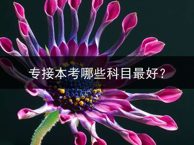 专接本考哪些科目最好？