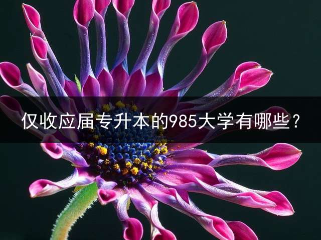 仅收应届专升本的985大学有哪些？