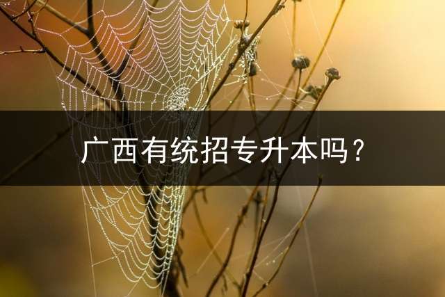 广西有统招专升本吗？
