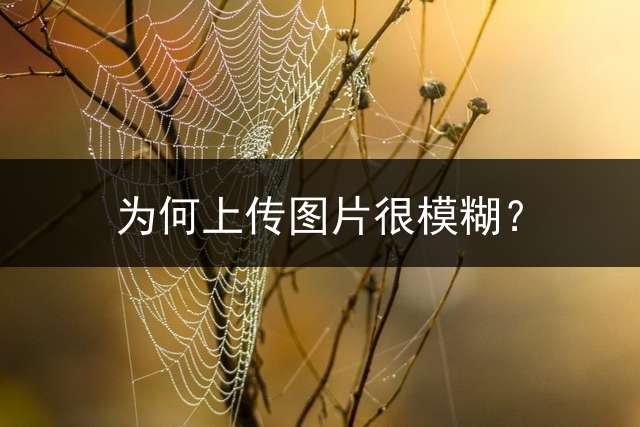 为何上传图片很模糊？