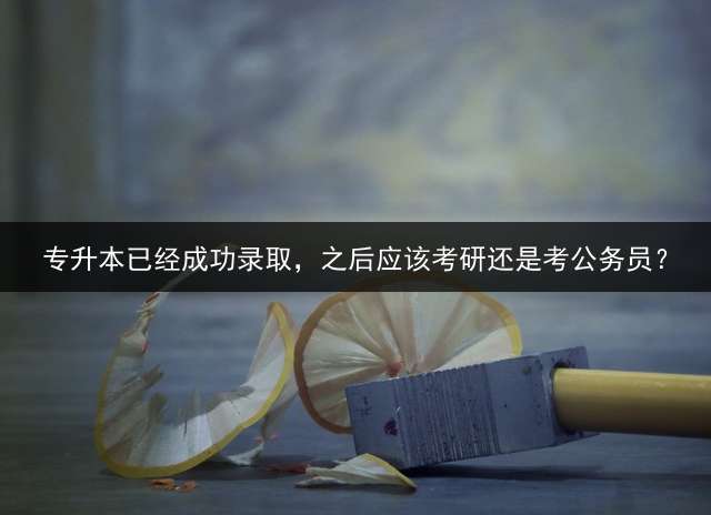 专升本已经成功录取，之后应该考研还是考公务员？