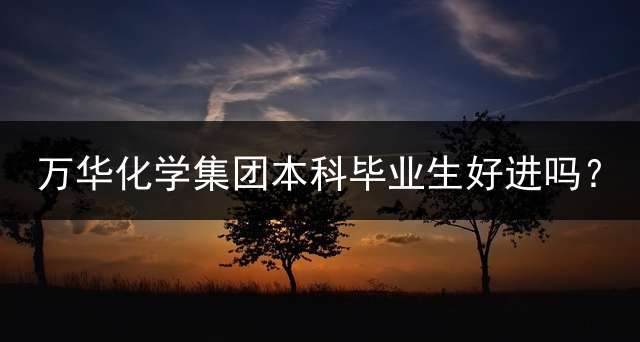 万华化学集团本科毕业生好进吗？