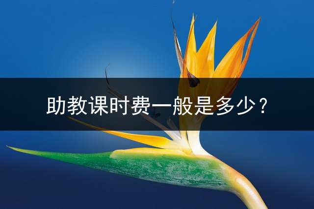 助教课时费一般是多少？