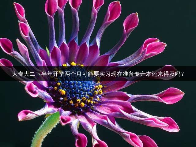 大专大二下半年开学两个月可能要实习现在准备专升本还来得及吗？ (六个月准备专升本来得及吗？)