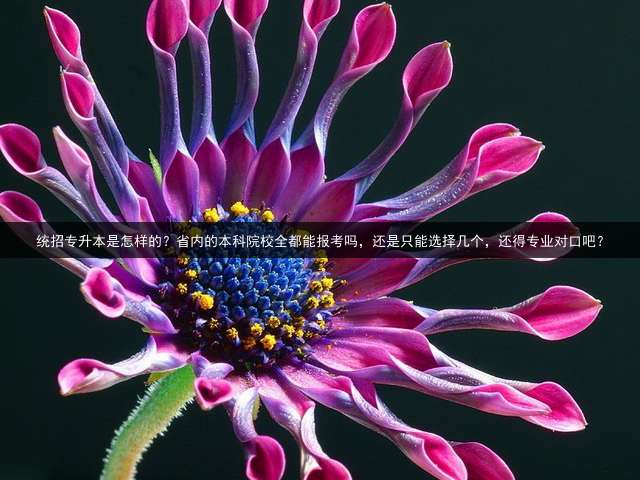 统招专升本是怎样的？省内的本科院校全都能报考吗，还是只能选择几个，还得专业对口吧？