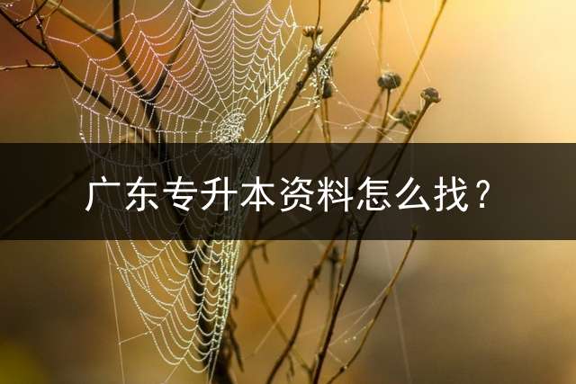 广东专升本资料怎么找？