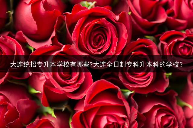大连统招专升本学校有哪些?大连全日制专科升本科的学校？