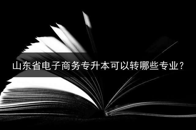 山东省电子商务专升本可以转哪些专业？