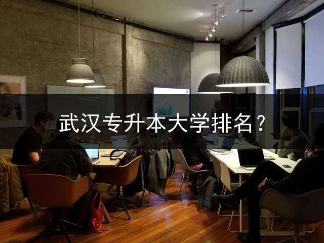 武汉专升本大学排名？