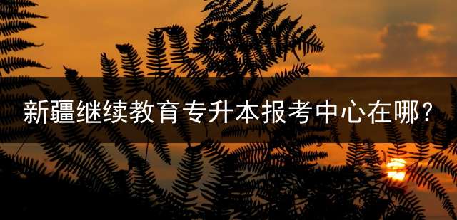 新疆继续教育专升本报考中心在哪？