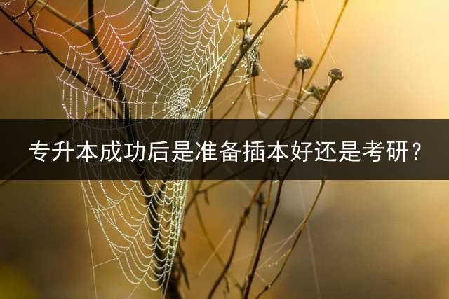 专升本成功后是准备插本好还是考研？