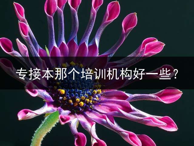 专接本那个培训机构好一些？