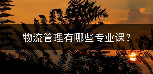 物流管理有哪些专业课？