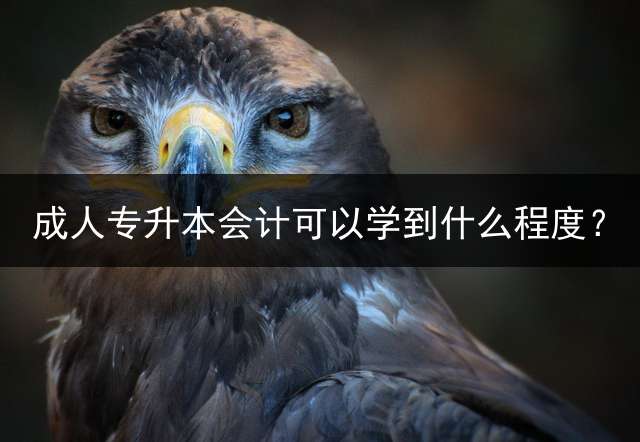 专升本会计可以学到什么程度？