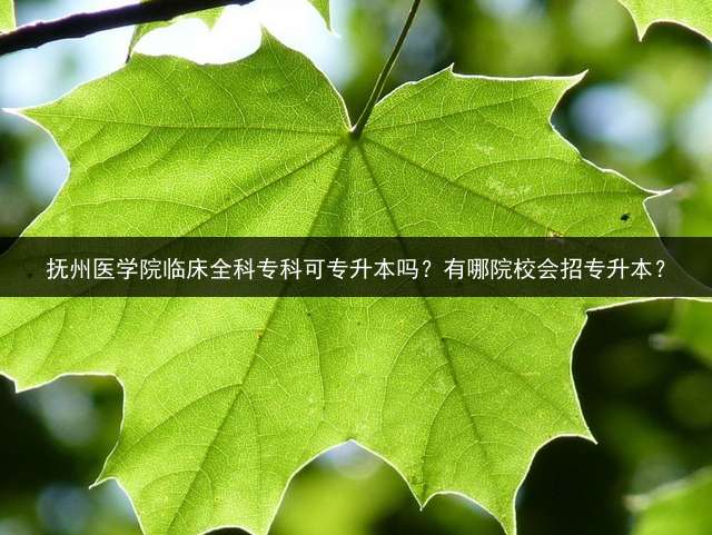抚州医学院临床全科专科可专升本吗？有哪院校会招专升本？