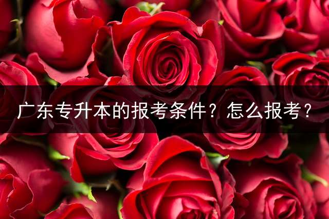 广东专升本的报考条件？怎么报考？