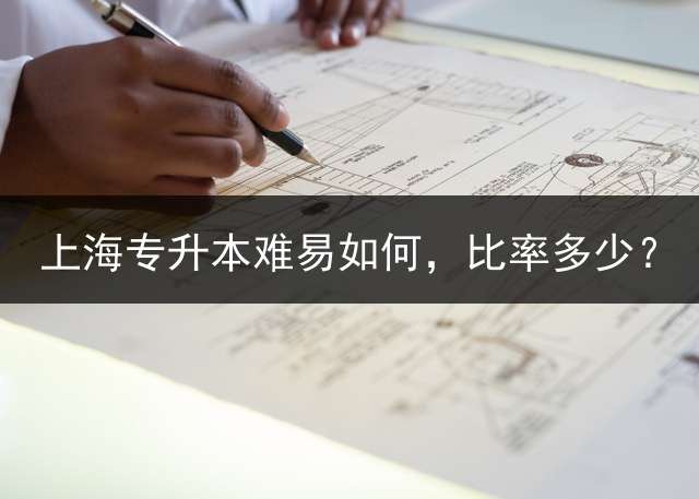 上海专升本难易如何，比率多少？