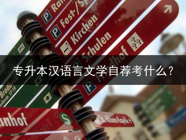 专升本汉语言文学自荐考什么？