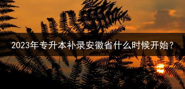 2023年专升本补录安徽省什么时候开始？