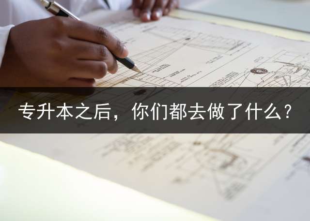 专升本之后，你们都去做了什么？