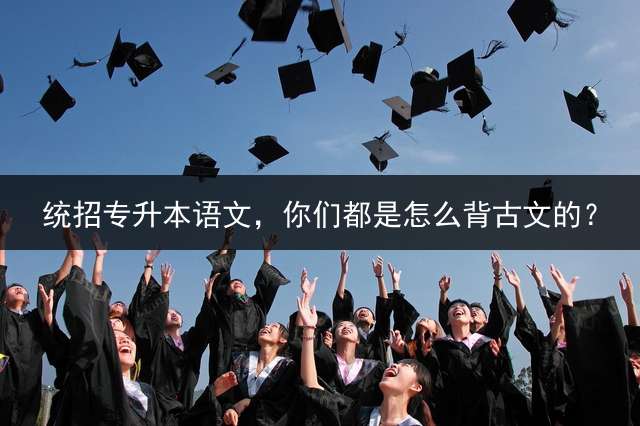 统招专升本语文，你们都是怎么背古文的？