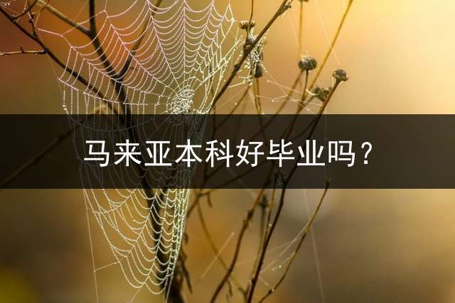 马来亚本科好毕业吗？
