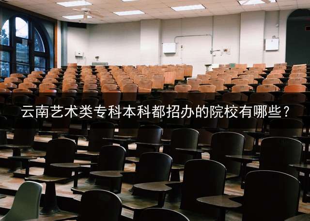 云南艺术类专科本科都招办的院校有哪些？