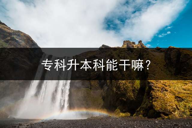 专科升本科能干嘛？