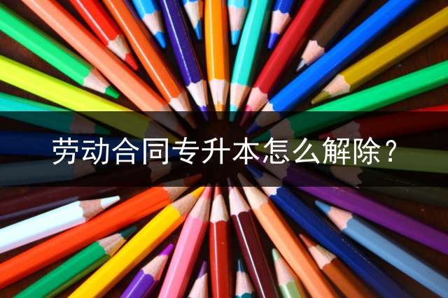 劳动合同专升本怎么解除？