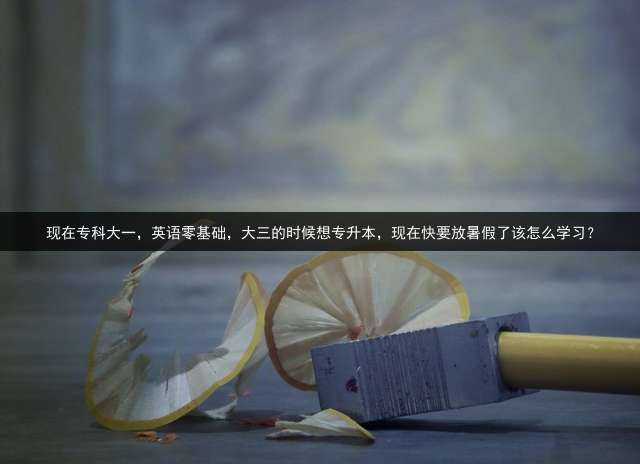 现在专科大一，英语零基础，大三的时候想专升本，现在快要放暑假了该怎么学习？