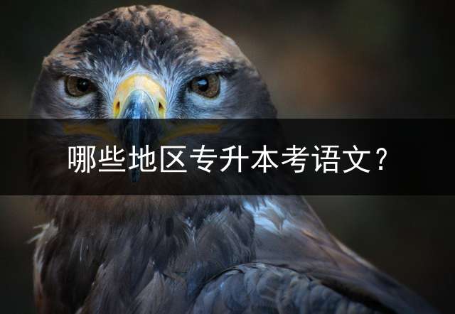 哪些地区专升本考语文？