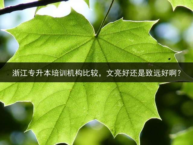 浙江专升本培训机构比较，文亮好还是致远好啊？