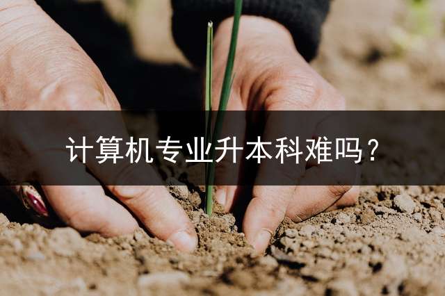 计算机专业升本科难吗？