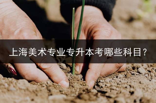上海美术专业专升本考哪些科目？