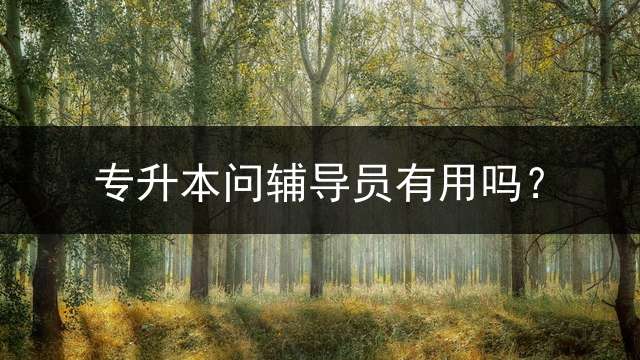 专升本问辅导员有用吗？