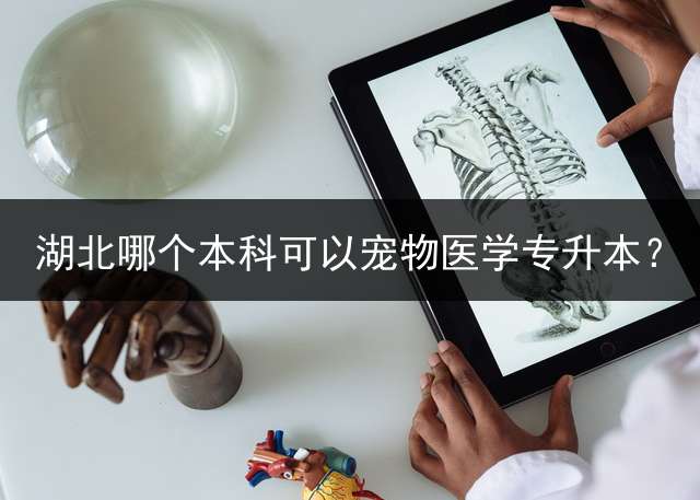 湖北哪个本科可以宠物医学专升本？