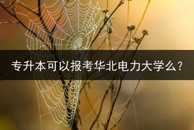 专升本可以报考华北电力大学么？