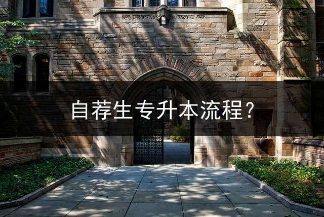 自荐生专升本流程？