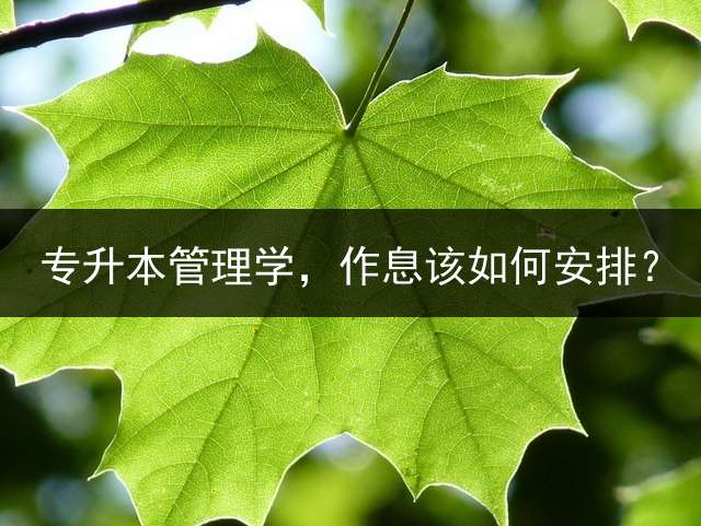 专升本管理学，作息该如何安排？