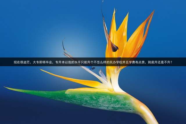 现在很迷茫，大专即将毕业，专升本以我的水平只能升个不怎么样的民办学校并且学费有点贵，到底升还是不升？