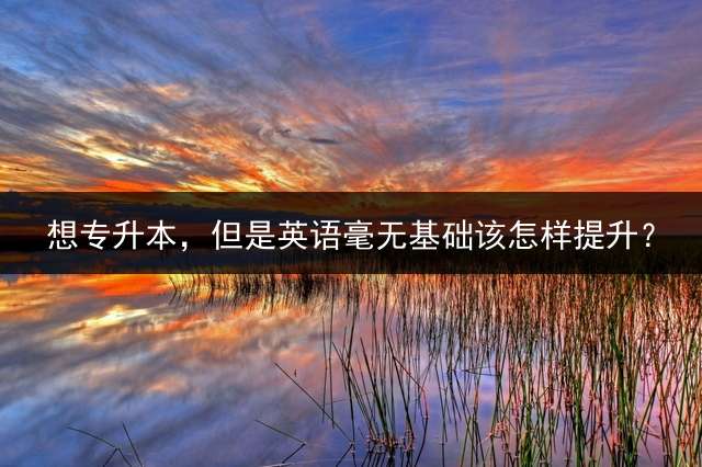 想专升本，但是英语毫无基础该怎样提升？