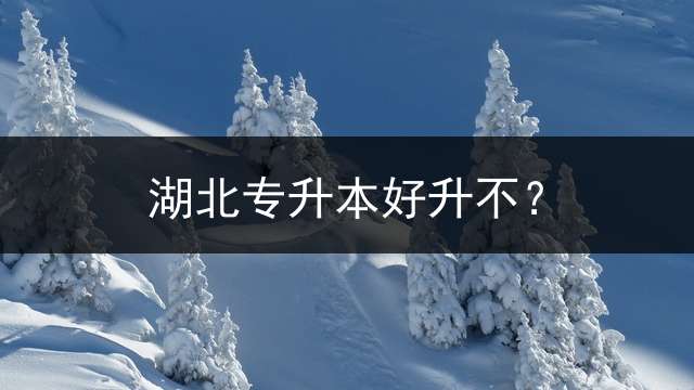 湖北专升本好升不？