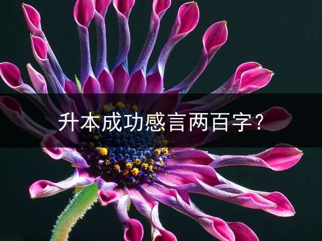 升本成功感言两百字？