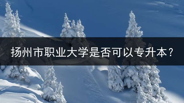 扬州市职业大学是否可以专升本？