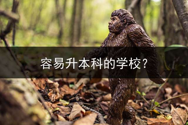 容易升本科的学校？