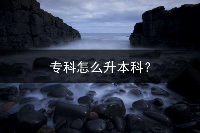 专科怎么升本科？