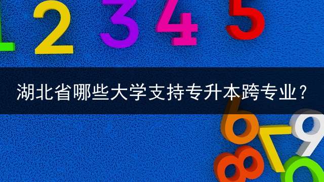 湖北省哪些大学支持专升本跨专业？