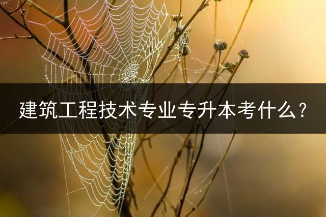 建筑工程技术专业专升本考什么？