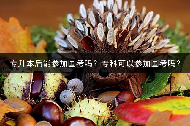 专升本后能参加国考吗？专科可以参加国考吗？