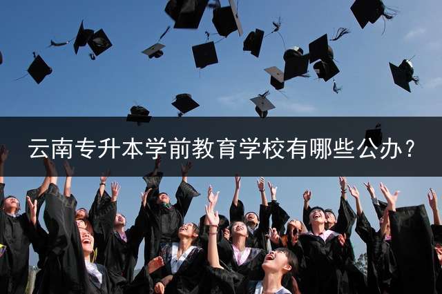 云南专升本学前教育学校有哪些公办？